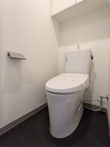 ケーディーエックスレジデンス豊洲のトイレ写真