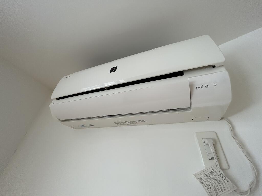Y-FLATのその他写真