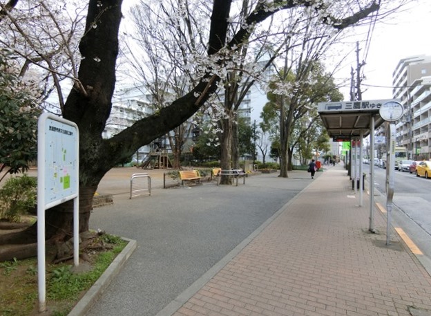 【フィルコリンズ武蔵野の公園】