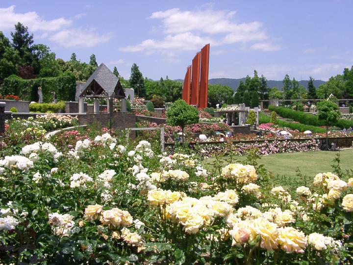 【Pスマイルカーサ　バラ公園の公園】