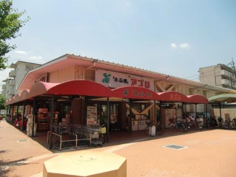 サテライト総持寺　食品館アプロ総持寺店（その他　388m）