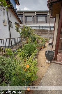 庭