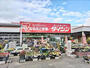 ホームセンター　ダイシン　南小泉店（ホームセンター）まで850m