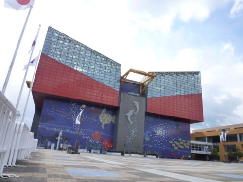 その他　海遊館（その他）まで740m