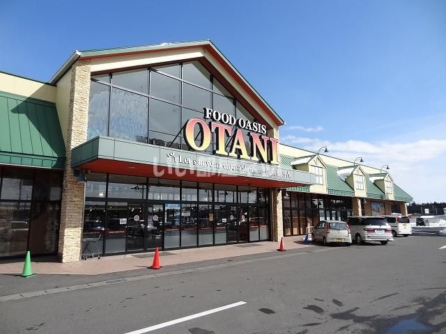 スーパー　フードオアシスオータニ　大沢店（スーパー）まで1524m