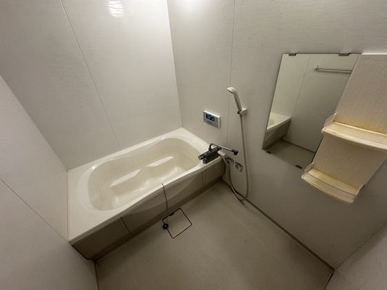 バス・シャワールーム　※別部屋の写真です