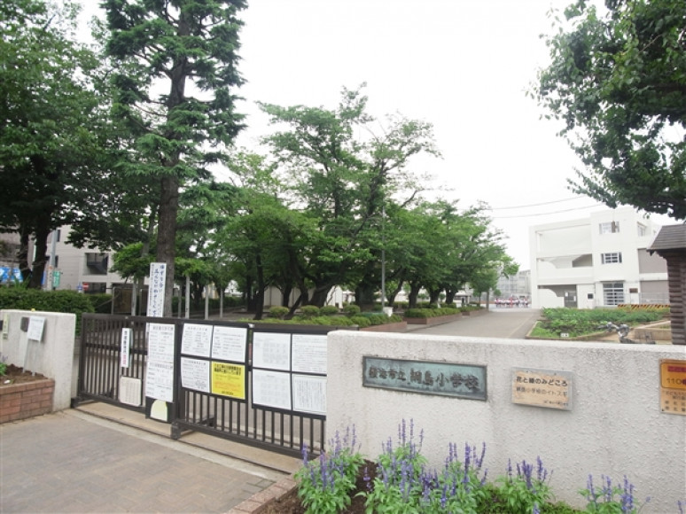 小学校　横浜市立綱島小学校（小学校）まで571m