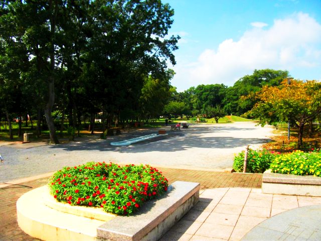 公園　小田野中央公園（公園）まで795m