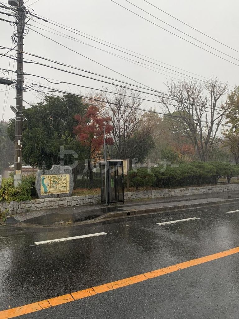 公園　じゅんさい菜池緑地（公園）まで2440m