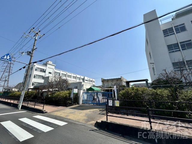 小学校　高槻市立三箇牧小学校（小学校）まで1774m
