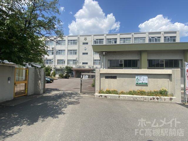 中学校　高槻市立第七中学校（中学校）まで1079m