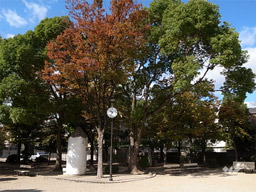 公園　打出浜公園（公園）まで311m