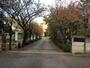 小学校　千葉市立みつわ台南小学校（小学校）まで86m