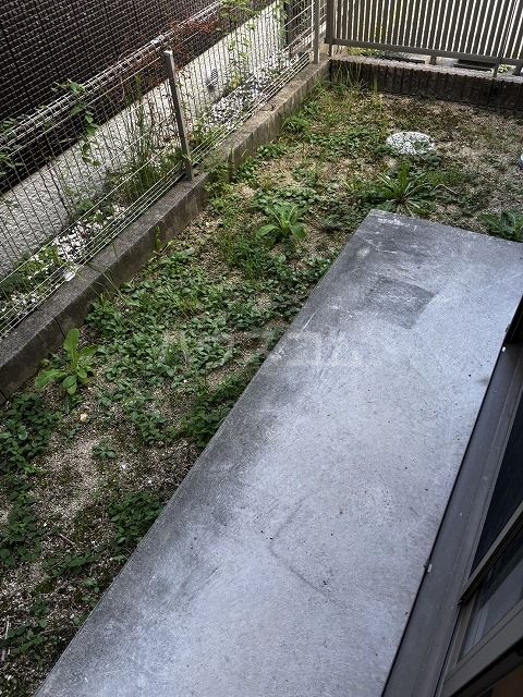 庭