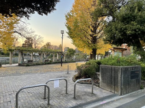 公園　碑文谷公園（公園）まで706m