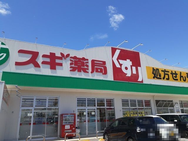 ドラックストア　スギ薬局岐南店（ドラッグストア）まで750m