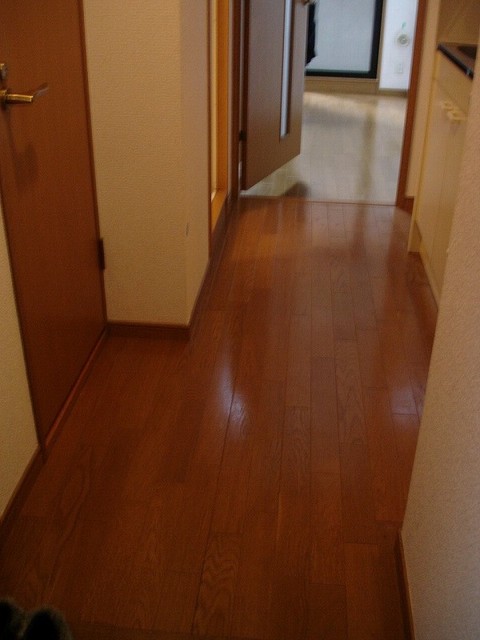 その他部屋・スペース　廊下