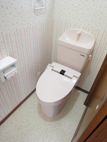 ＪＲ総武本線 都賀駅 徒歩20分 2階建 築13年のトイレ写真