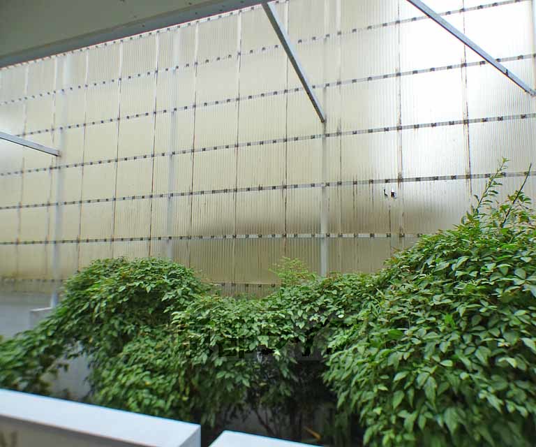 眺望　南向きバルコニーからの景色です。