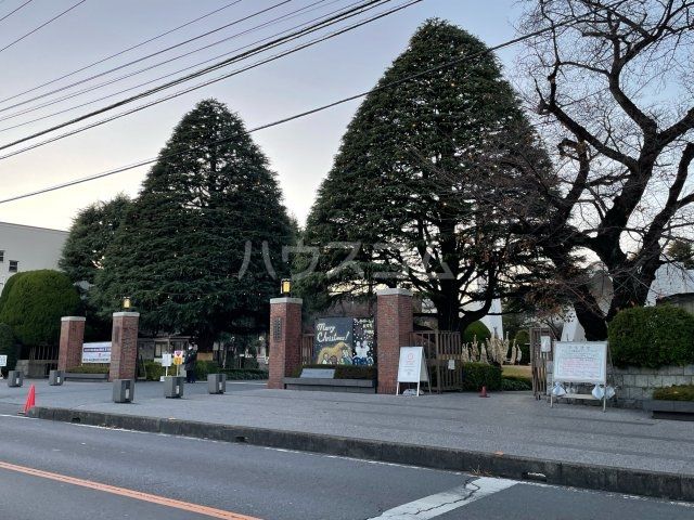 【新座市野火止のマンションの大学・短大】