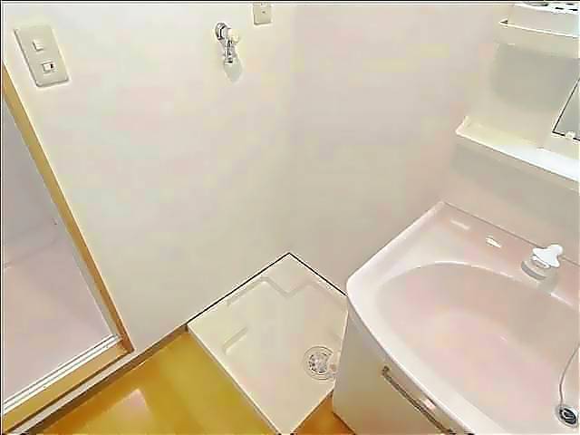 洗面設備　室内洗濯機置場