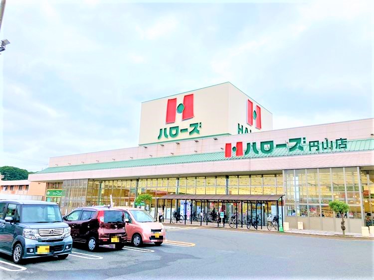 スーパー　ハローズ 円山店（スーパー）まで385m
