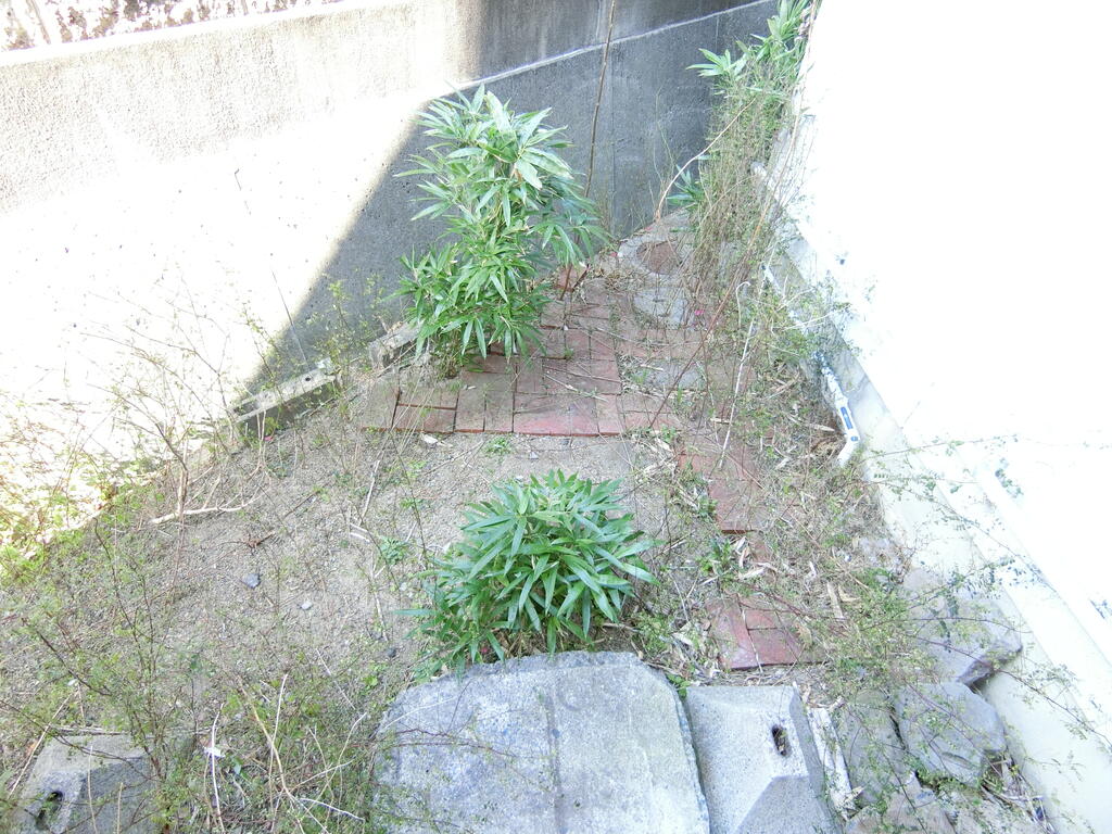 ラポール箱作戸建のその他写真