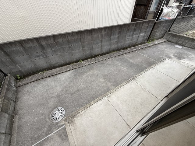 庭