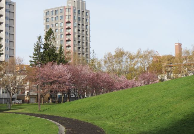 公園　南郷丘公園（公園）まで269m
