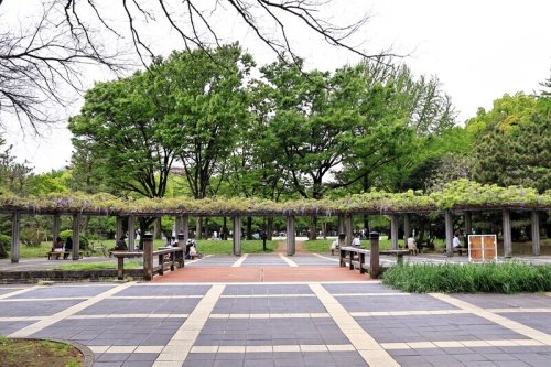 公園　清澄公園（公園）まで519m