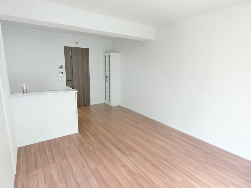 居室・リビング　※お部屋２０５号室の写真になります。別のお部屋になりますので