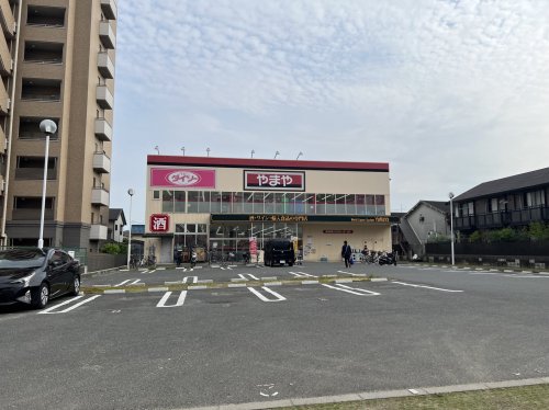 その他　ザ・ダイソー やまや服部店（その他）まで318m