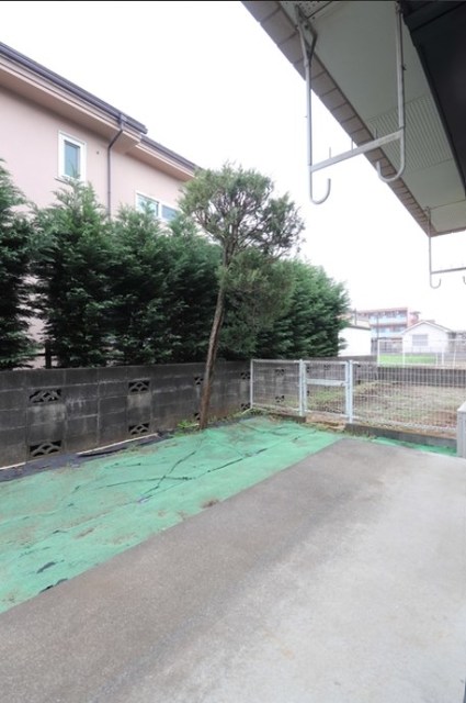 庭