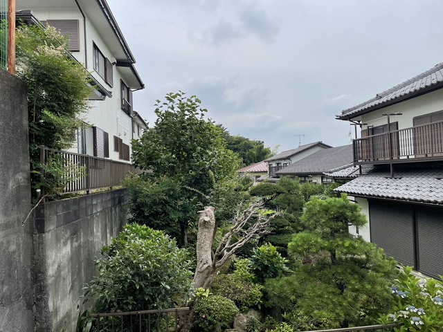 眺望　別号室参考
