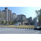 公園　六甲道南公園（公園）まで268m