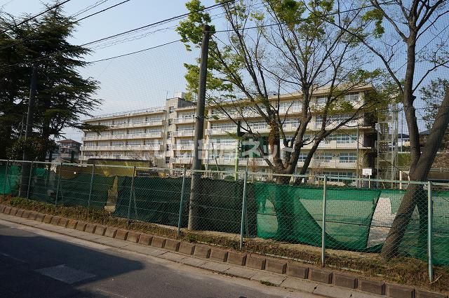 小学校　松戸市立殿平賀小学校（小学校）まで291m