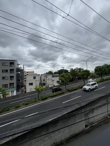 ASHA NOORのその他写真