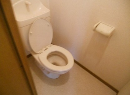 ＪＲ相模線 門沢橋駅 徒歩8分 2階建 築24年のトイレ写真
