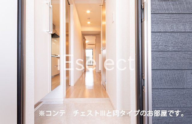 玄関　※同仕様の画像の為、実際とは異なります