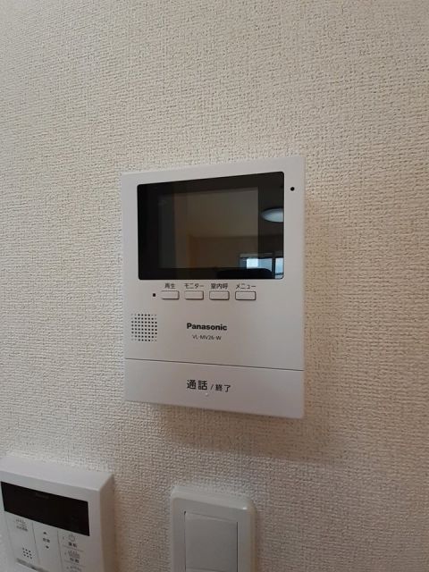 ヴィオラIIのその他写真