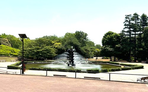 公園　世田谷公園（公園）まで832m