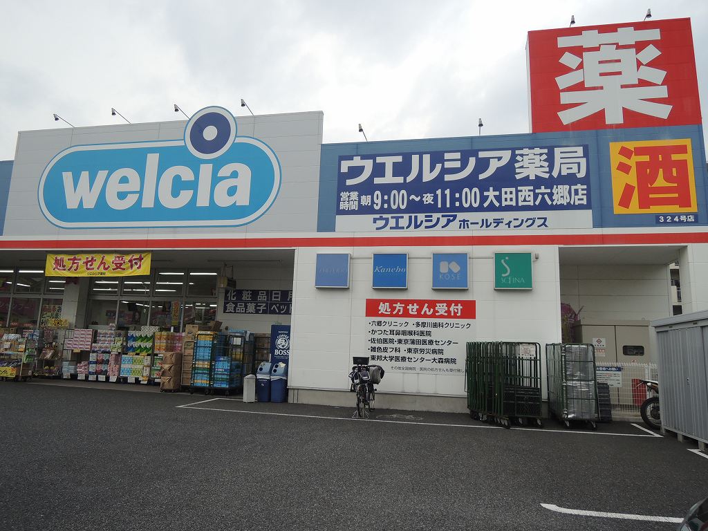 ドラックストア　ウエルシア薬局「大田西六郷店」（ドラッグストア）まで3205m