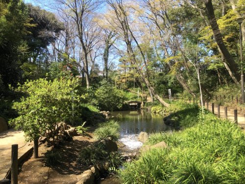 公園　おとめ山公園（公園）まで863m