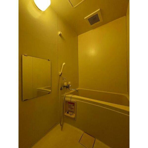 バス・シャワールーム　コンパクトで使いやすいお風呂です