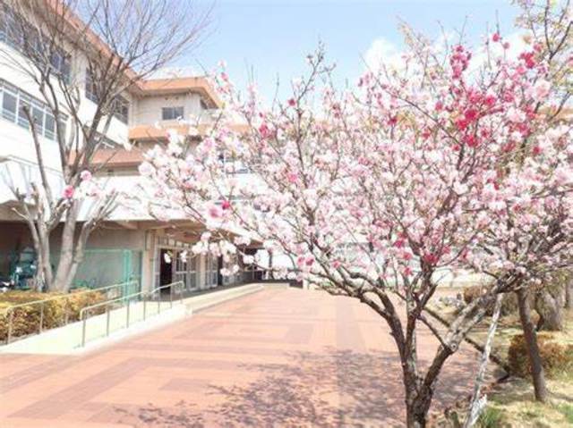 小学校　川崎市立長尾小学校（小学校）まで242m