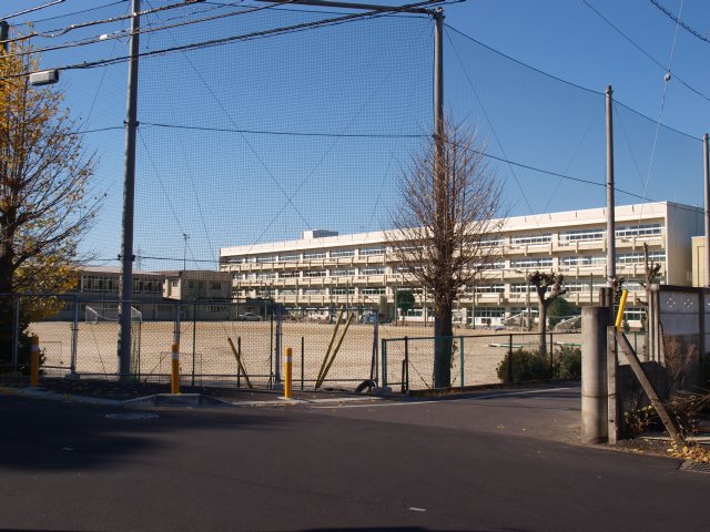 中学校　柏市立光ケ丘中学校（中学校）まで622m