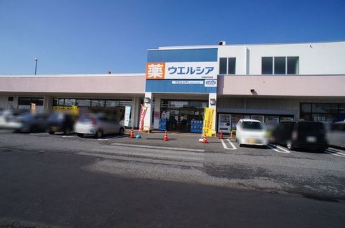 ドラックストア　ウエルシア茨城総和薬局（ドラッグストア）まで572m