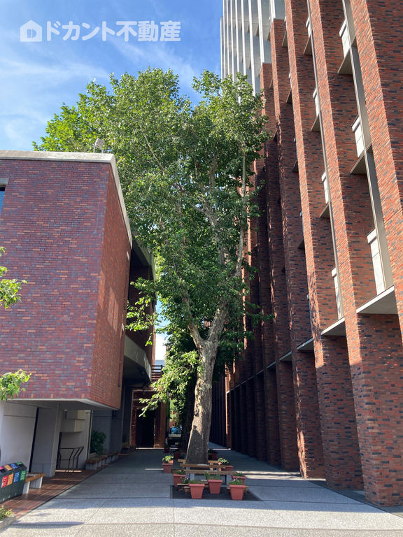 大学・短大　立教大学（大学・短大）まで490m