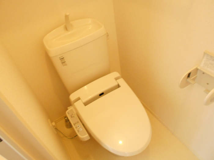 ＪＲ中央線 竜王駅 徒歩33分 2階建 築14年のトイレ写真