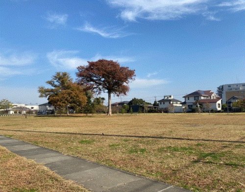 その他　中野公園（その他）まで540m